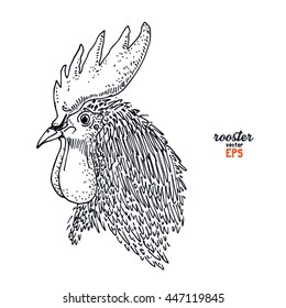 Rooster bird drawing illustration vector