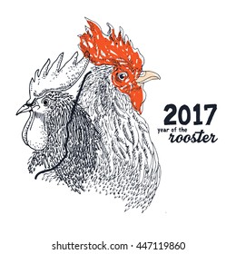 Rooster bird drawing illustration vector. 2017 with text