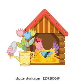 rooster bird farm in the wooden house