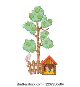 rooster bird farm in the wooden house