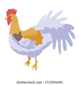 Rooster bird icon. Isometric of rooster bird vector icon for web design isolated on white background