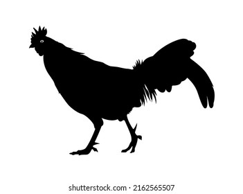 Rooster Bird Silhouette, Cock animal Vector Illustration.