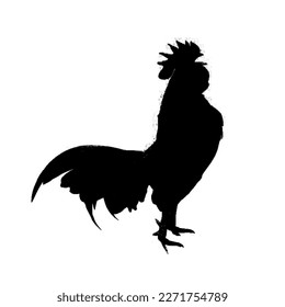 Rooster black and white vector