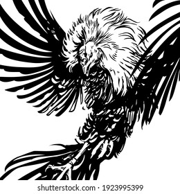 Rooster, black and white vector image. Cocks fighting. Rooster, cockfight, attack, fighter, black and white, game-cock