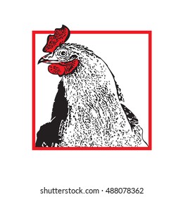 The Rooster - Black And White Vector Image. Head of Cockerel With Red Crest on White Background.