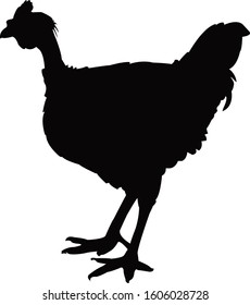 a rooster body silhouette vector