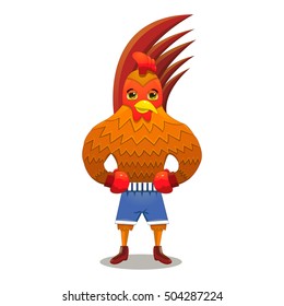 Rooster boxer in gloves Rooster boxer in gloves