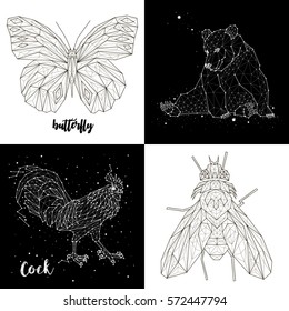 Rooster, butterfly, bear, fly. constellations set