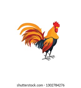 Rooster cartoon vector on white background