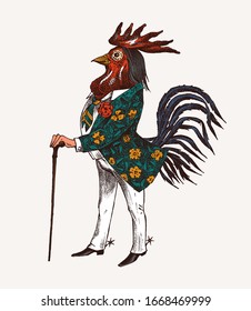 Rooster character with a cane and boots. Fashionable Aristocrat or Rich Man. Hand drawn fashionable cockerel. Engraved old monochrome sketch.