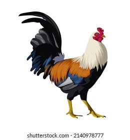 Rooster Character Portrait Vector Illustration Stock Vector (Royalty ...