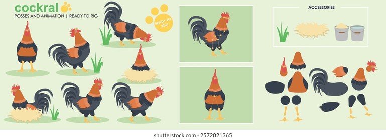 Rooster character, poultry chicken cockerel ready to animate and rig cartoon vector