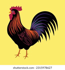 rooster chicken animal vector illustration isolated bird cock farm 