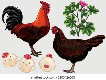 Ein Hahn und ein Huhn. Die Rasse von Derbyshire Redcap. Wildblume und Lebkuchen (Hühnerform).  Vektorgrafik