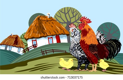 Rooster with chicken and chickens in the background of a nice rural landscape with houses under thatched roof