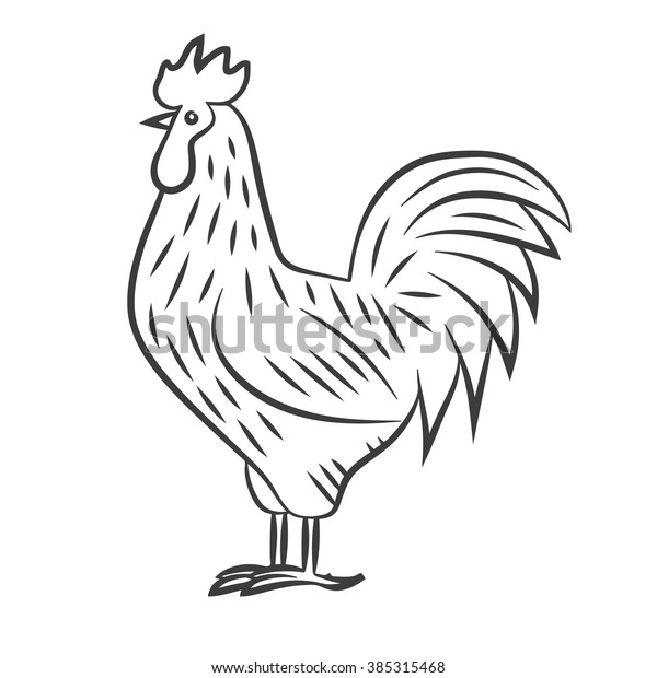 chicken animal drawing