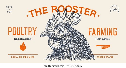 Rooster, chicken, hen head. Vintage retro print, rooster sketch ink pencil style drawing, engrave old school. Sketch artwork silhouette head rooster chicken. Side view profile. Vector Illustration svg