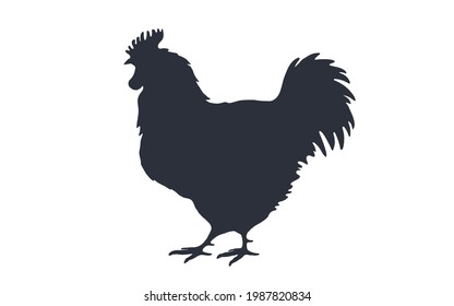 Rooster, chicken, hen, silhouette. Black white silhouette of rooster or hen. Vintage logo, retro print for Butchery meat shop, restaurant menu, rooster silhouette. Vector Illustration