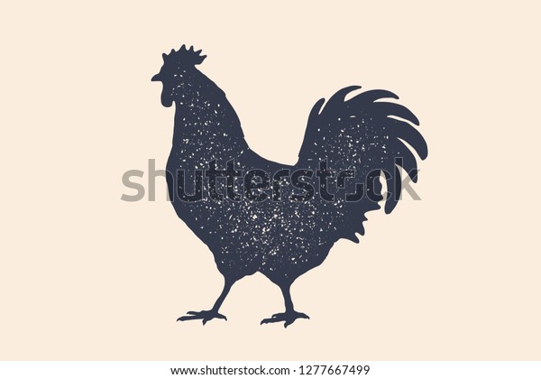 鶏 鶏 鶏 鶏 シルエット ビンテージロゴ バチェリー肉店のレトロな印刷 鶏のシルエット 肉ビジネス 肉屋のロゴ シルエット ルースター ベクターイラスト のベクター画像素材 ロイヤリティフリー