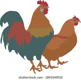 rooster and chicken isolated. Engraved style vector illustration. Template for your design works.