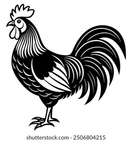 Rooster chicken isolated vector file