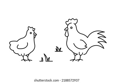 Rooster and chicken linear illustration