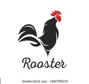 Rooster, Chicken Logo Vector Template Design Illustration