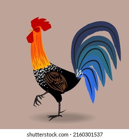 Rooster chicken poultry farm animal icon character hand drawn vector illustration.