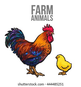 rooster and chicken poultry farm, vector illustration sketch isolated on white background. hand-drawn set farm rooster and birds yellow chick