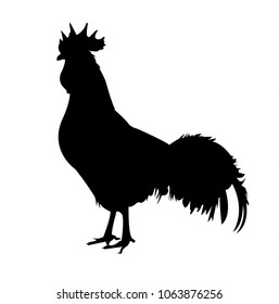 Rooster chicken silhouette