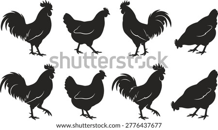Rooster and chicken silhouette collection, farm bird icons, poultry livestock elements, ranch animals, cock and hen silhouettes, morning nature.