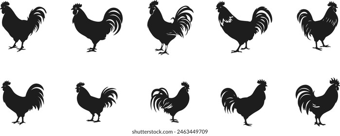 rooster chicken silhouette set, vector illustration