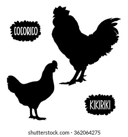 Rooster and chicken in vector. Black and white illustration with poultry birds