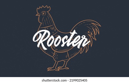 Rooster Chicken Vintage Sketch Rooster Silhouette Stock Vector Royalty Rooster Chicken Vintage Sketch Rooster Silhouette Stock Vector Royalty