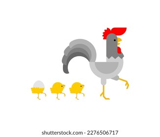 Rooster and chickens are walking. Farm birds. Concept dad and kids