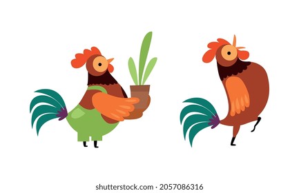 Rooster or Cock Character Crowing and Holding Plant in Flowerpot Vector Set