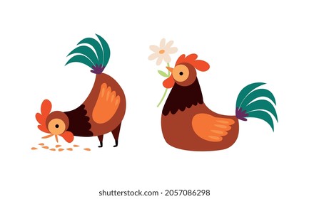 Rooster or Cock Character Picking Grain and Holding Flower Vector Set