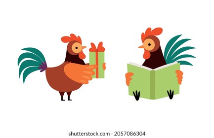 Rooster or Cock Character Reading Book and Holding Gift Box Vector Set