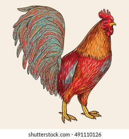 Rooster, cock in graphical style. Hand drawn vector Illustration.