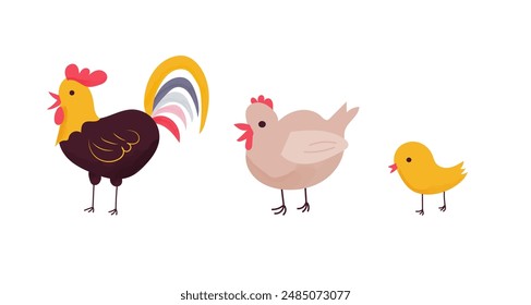 Rooster cock with hen and chick isolated on white background. Cute farm birds family flat vector illustration. 