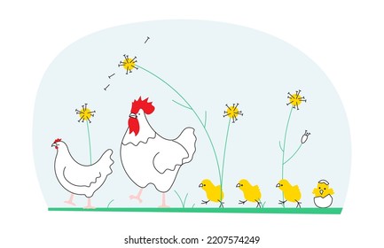 Rooster cock with hen and chicks isolated on white background. Chicken family on poultry farm chicken birds. Flat Art Vector Illustration