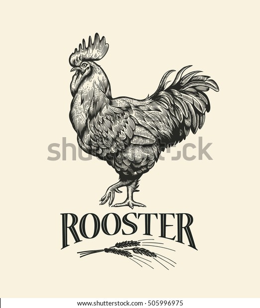 Rooster. Cock Illustration in Vintage engraving\
style. Grunge label, sticker for the farms and manufacturing\
depicting roster. Grunge label for the chicken product. Farm\
painting. Cockerel.\
Vector