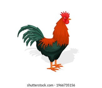 Rooster cock logo vector. Eye catching farm chicken design. vector illustration