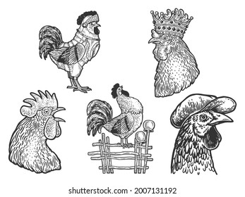 Rooster cock set line art sketch engraving vector illustration. T-shirt apparel print design. Scratch board imitation. Black and white hand drawn image.