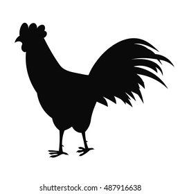 Rooster or cock symbol hand drawing in black. Black silhouette. Cock on white background. Vector illustration.