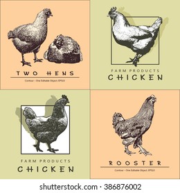 Rooster, Cockerel in Engraved Style. Vector illustration in brown, beige, dark green, brown colors.