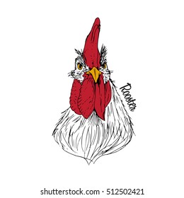 Rooster color illustration hand drawn ink vintage style on white background