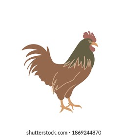 Rooster in colored flat style. For logo, icons, emblems, template, badges. Vector illustration