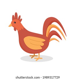 Rooster colored icon in flat style. Vector icon for design isolated on white background.