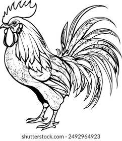 rooster coloring page , hen , chicken 